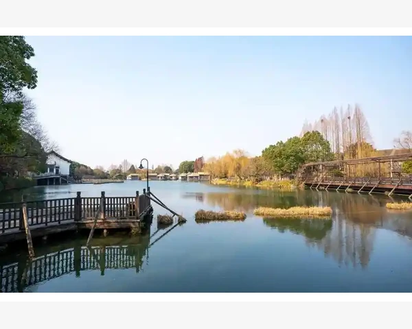 去寒湿，调养脾胃，拥抱健康生活