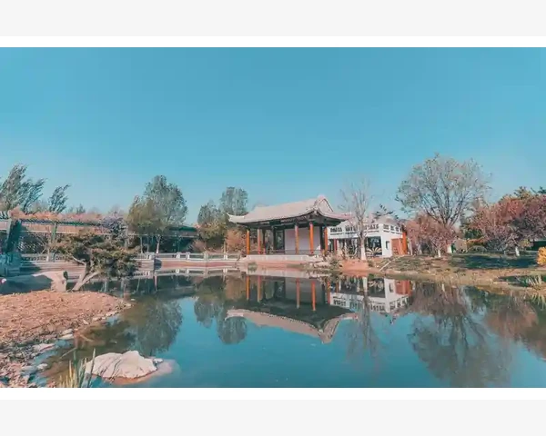 去化痰的水果推荐与功效分析