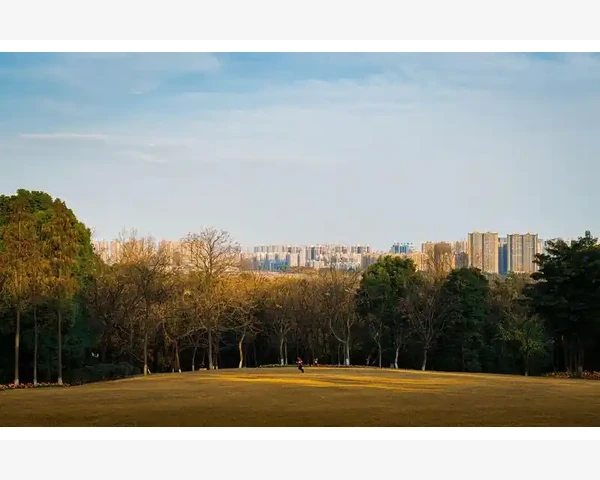 清澈肺间 食药同根的中医养生之道